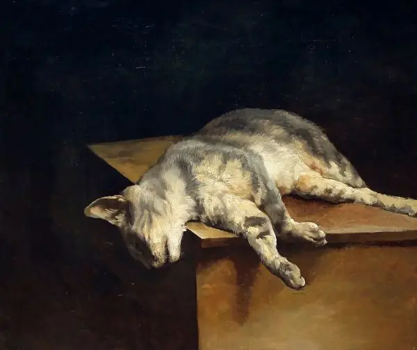 Dead Cat By Theodore Gericault