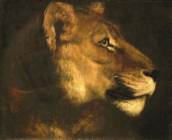Head of a Lioness by Theodore Gericault | Oil Painting Reproduction