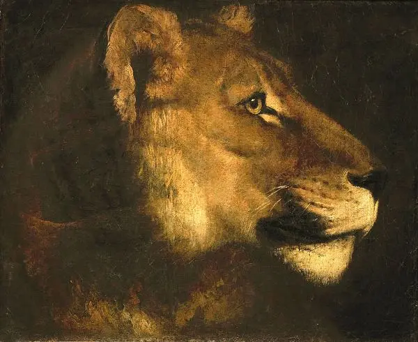 Head of a Lioness By Theodore Gericault