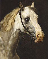 Head of a Piebald Horse By Theodore Gericault