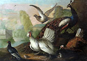 Birds By Adriaen Van Utrecht