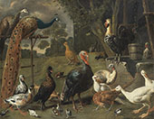 Peacock and Peahen on a Perch Turkeys a Pheasant and Poultry by a Well 1652 By Adriaen Van Utrecht