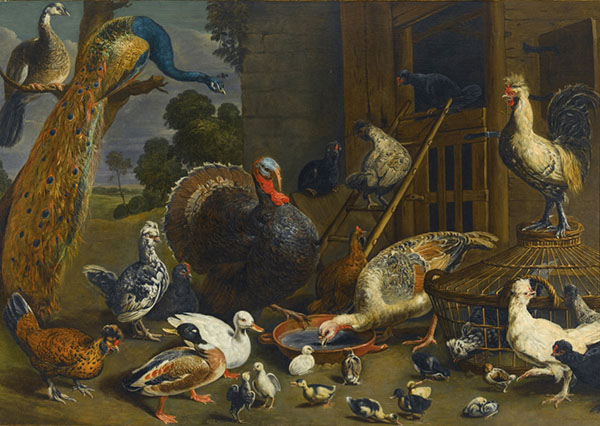 Peacock Turkey Chickens and Ducks Drinking Playing and Pecking | Oil Painting Reproduction