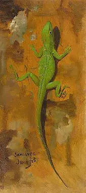A Lizard Jamaica 1865 By Frederic Edwin Church