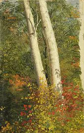 Birch Trees in Autumn 1865 By Frederic Edwin Church