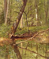 Forest Pool by Frederic Church 1860 By Frederic Edwin Church
