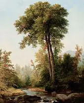 A Natural Monarch 1853 By Asher Brown Durand