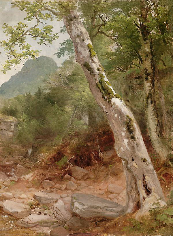 A Sycamore Tree by Asher Brown Durand | Oil Painting Reproduction