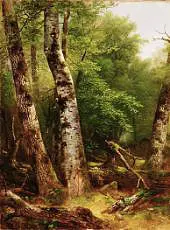 Birch and Maples 1855 By Asher Brown Durand