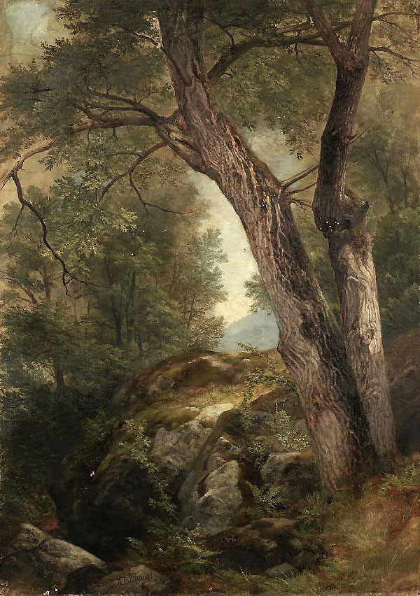 Butternut Tree at Hague by Asher Brown Durand | Oil Painting Reproduction