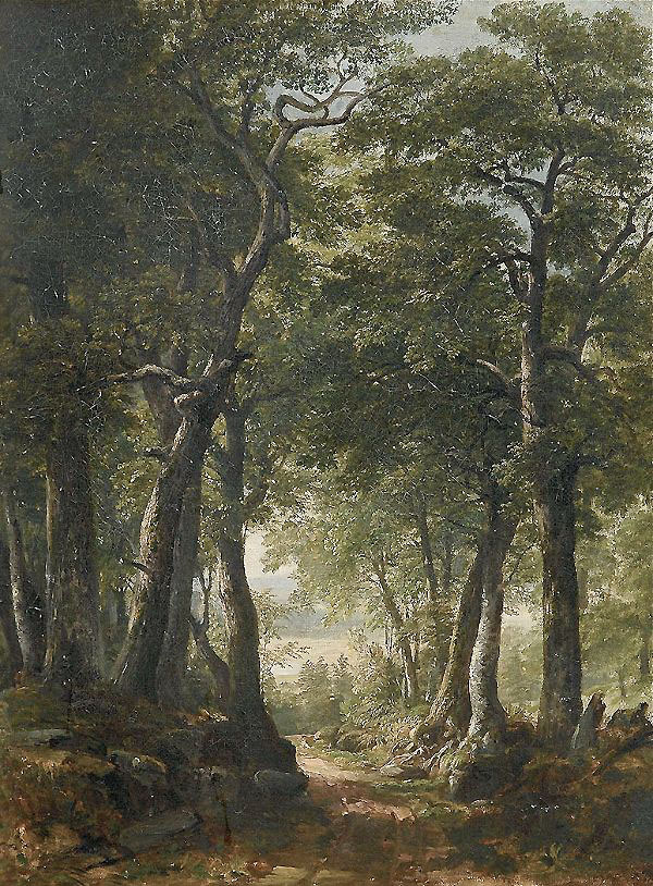 Forest Interior by Asher Brown Durand | Oil Painting Reproduction