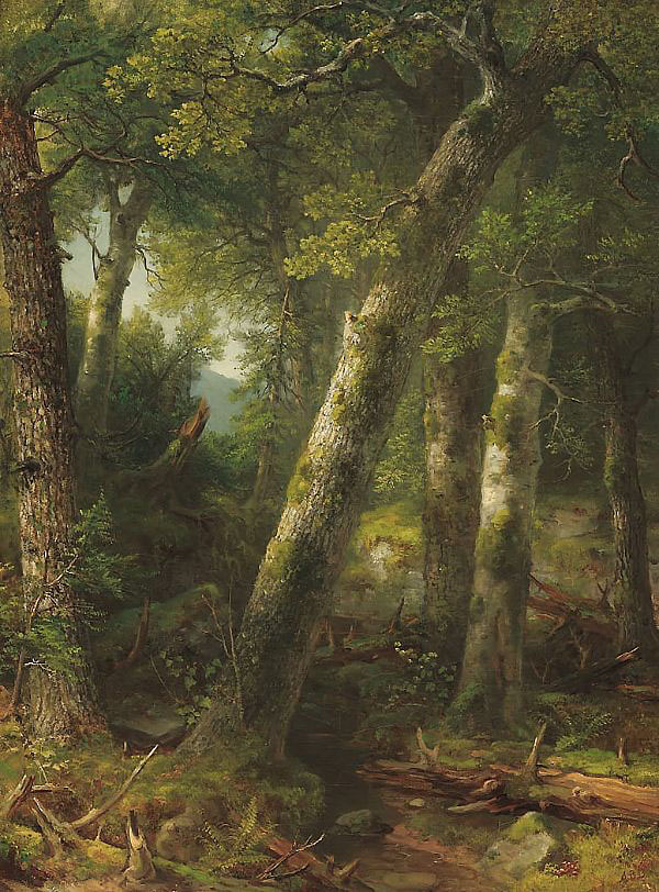 Forest in the Morning Light | Oil Painting Reproduction