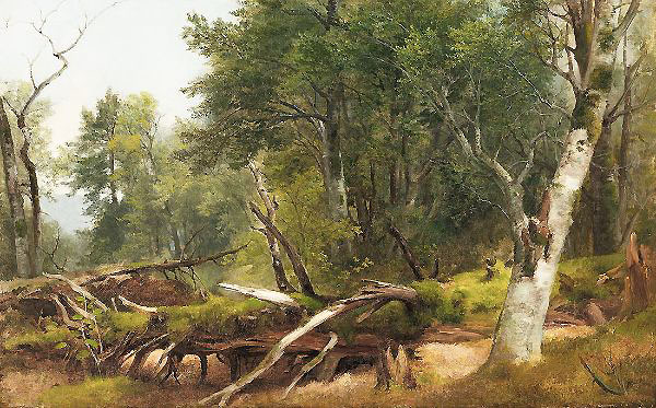 Forest Scene in the Catskills | Oil Painting Reproduction