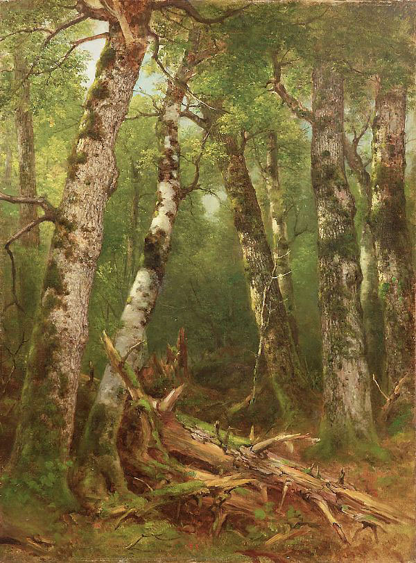 Group of Trees by Asher Brown Durand | Oil Painting Reproduction