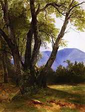 Shandaken Ulster County By Asher Brown Durand