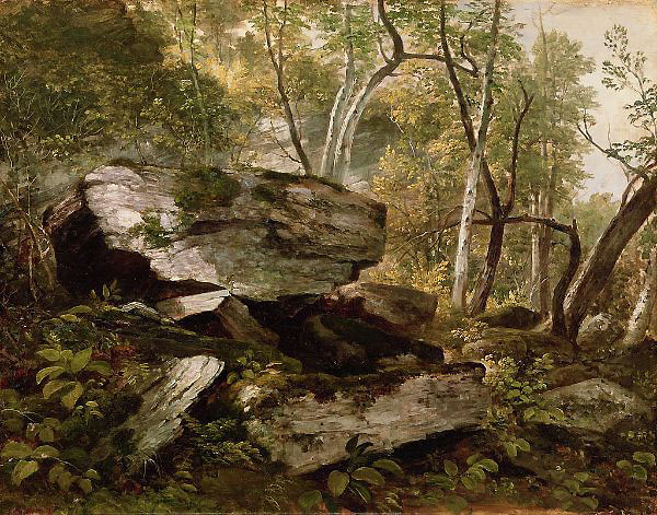 Study from Nature Rocks and Trees | Oil Painting Reproduction