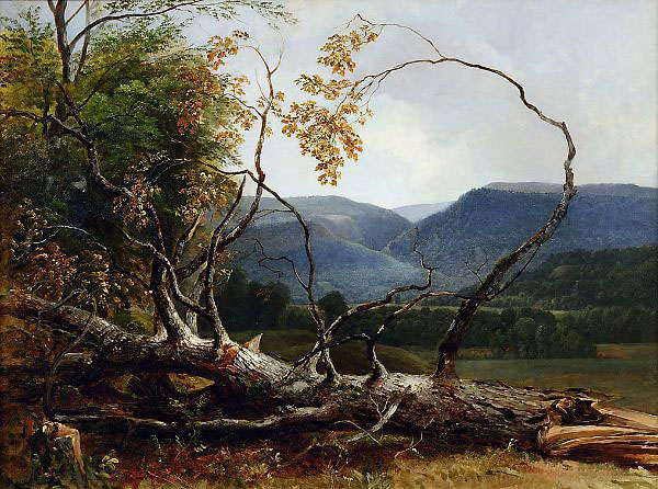 Study from Nature Stratton Notch | Oil Painting Reproduction