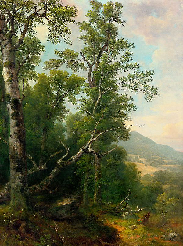 Study of Trees 1850 by Asher Brown Durand | Oil Painting Reproduction