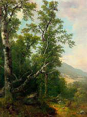 Study of Trees 1850 By Asher Brown Durand
