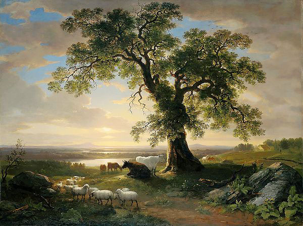 The Solitary Oak by Asher Brown Durand | Oil Painting Reproduction