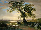 The Solitary Oak By Asher Brown Durand