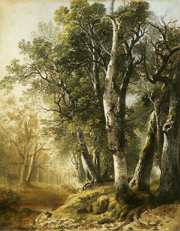 Trees by the Brookside 1846 | Oil Painting Reproduction