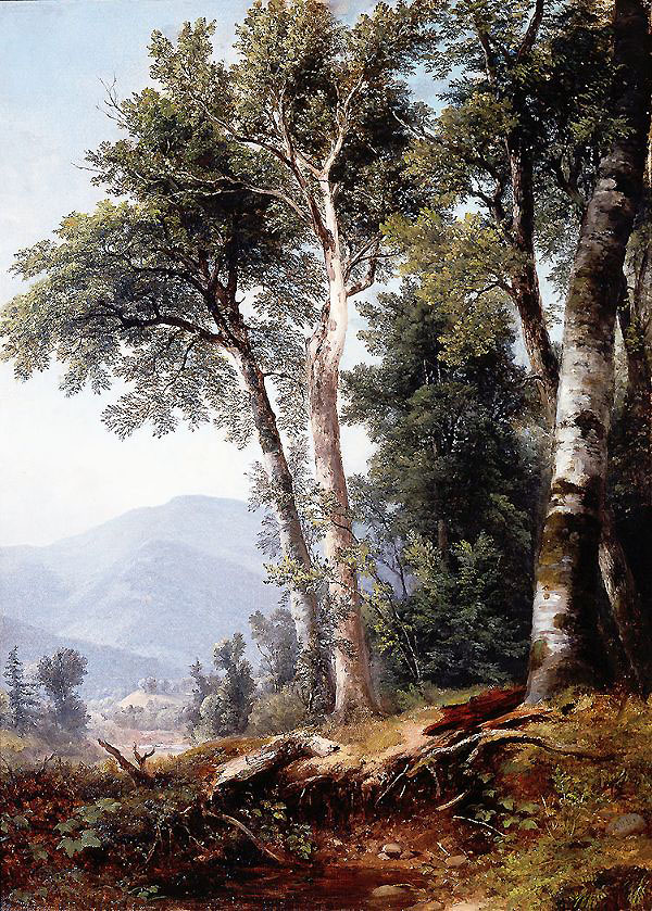 Woodland Landscape c1850 by Asher Brown Durand | Oil Painting Reproduction