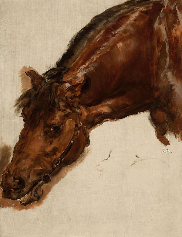 A Horse Head 1875 by Jan Matejko | Oil Painting Reproduction