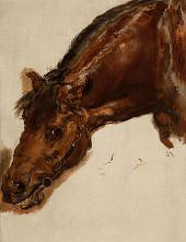 A Horse Head 1875 By Jan Matejko
