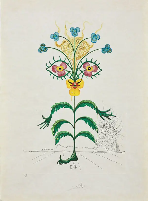 Viola Cogitans By Salvador Dali