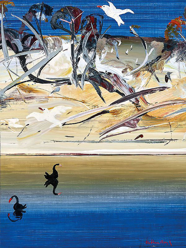 Swans and Gulls on the Shoalhaven River | Oil Painting Reproduction