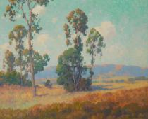Eucalyptus By Maurice Braun
