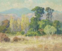 Eucalyptus in Rolling Hills By Maurice Braun