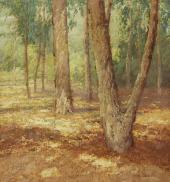 In the Eucalyptus Grove By Maurice Braun