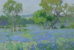 Lupine Field By Maurice Braun