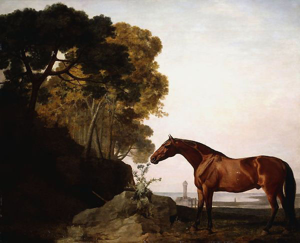 A Bay Arab in a Coastal Landscape 1779 | Oil Painting Reproduction