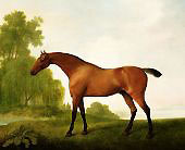 A Bay Thoroughbred in a Landscape By George Stubbs