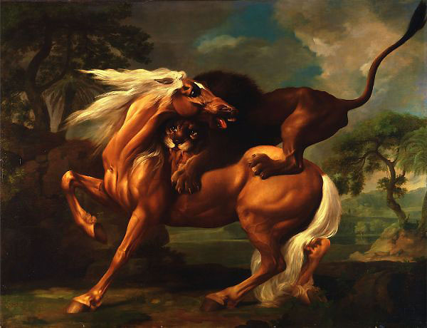 A Lion Attacking a Horse 1762 by George Stubbs | Oil Painting Reproduction
