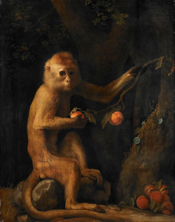A Monkey 1774 by George Stubbs | Oil Painting Reproduction