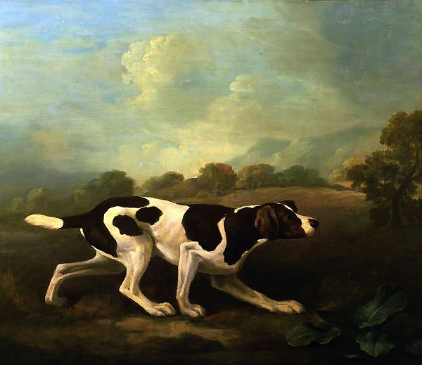 A Pointer by George Stubbs | Oil Painting Reproduction
