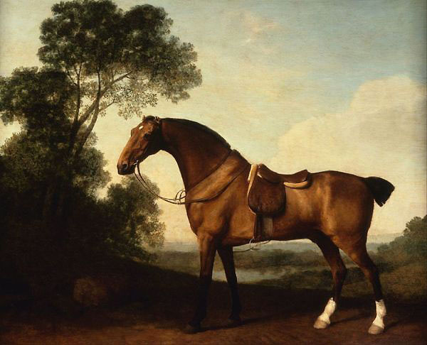 A Saddled Bay Hunter by George Stubbs | Oil Painting Reproduction
