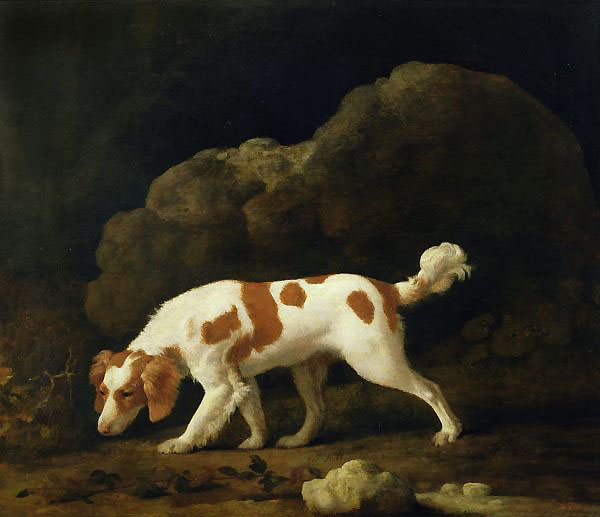 A Spaniel by George Stubbs | Oil Painting Reproduction