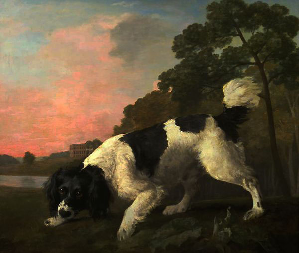 A Spaniel in a Landscape 1771 by George Stubbs | Oil Painting Reproduction