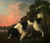 A Spaniel in a Landscape 1771 By George Stubbs