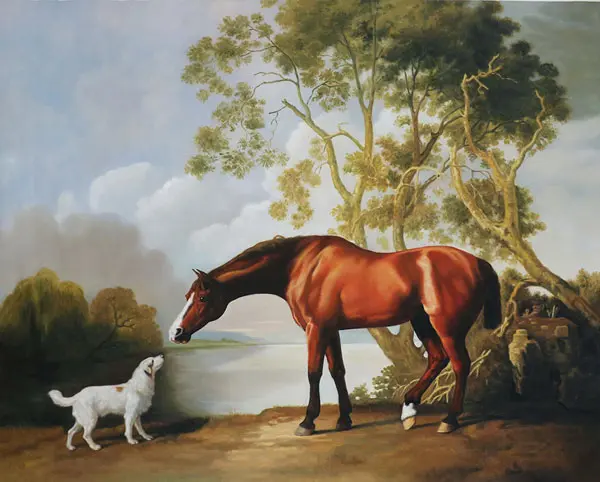 Bay Horse and White Dog By George Stubbs