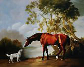 Bay Horse and White Dog By George Stubbs