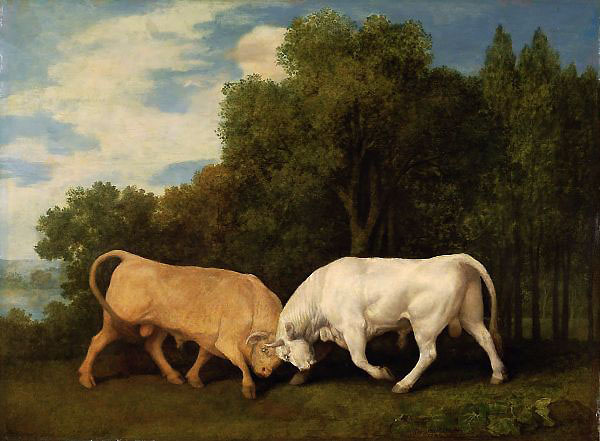 Bulls Fighting 1786 by George Stubbs | Oil Painting Reproduction