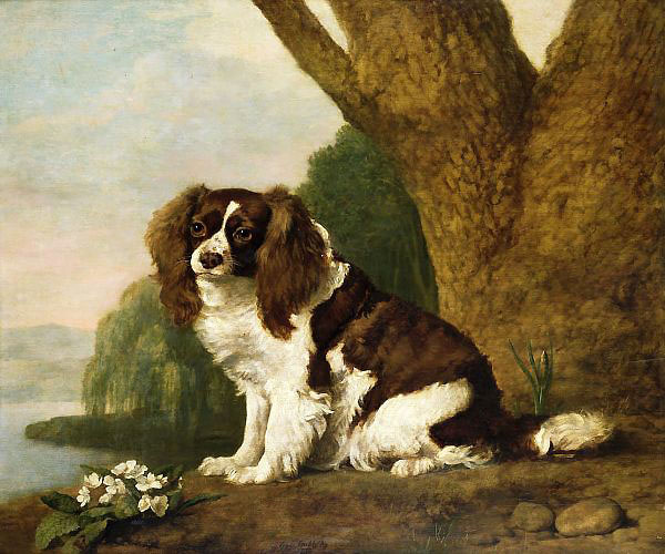 Fanny a Brown and White Spaniel | Oil Painting Reproduction