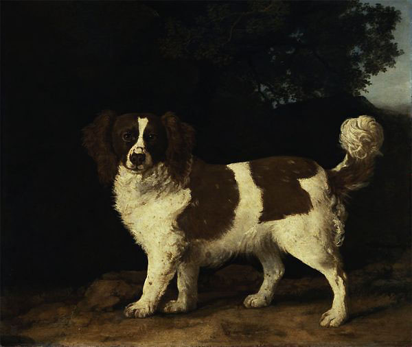 Fanny the Favourite Spaniel of Mrs Musters Standing in a Wooded Landscape | Oil Painting Reproduction