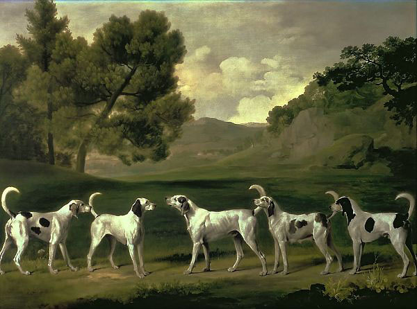 Foxhounds in a Landscape 1762 by George Stubbs | Oil Painting Reproduction
